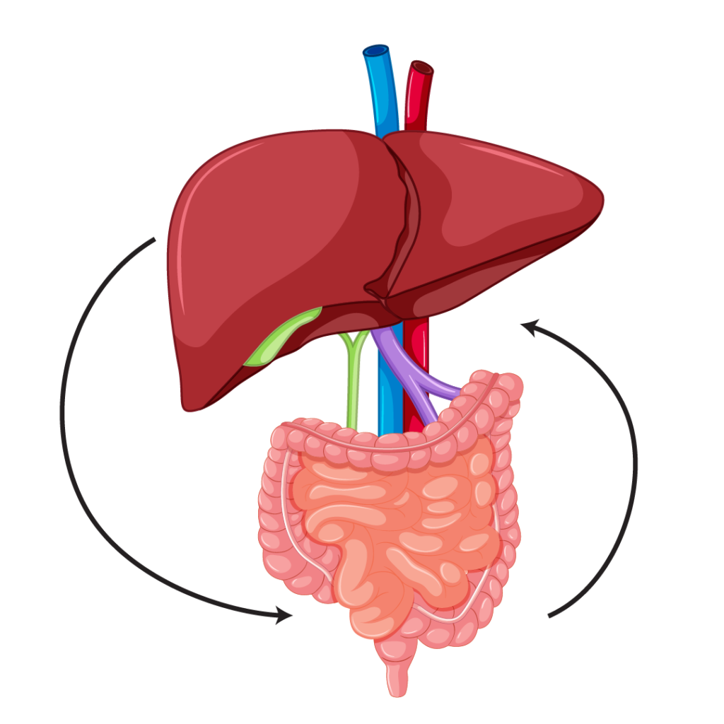 finessa supplement review